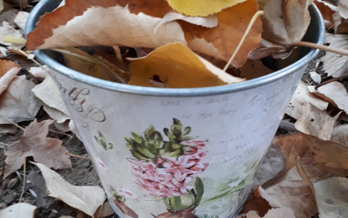кофичка за листа